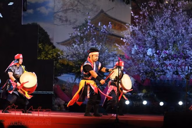 Hoa anh đào tươi rói khoe sắc tại Vườn hoa tượng đài Lý Thái Tổ ảnh 1