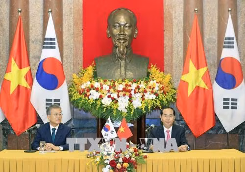 Chủ tịch nước Trần Đại Quang và Tổng thống Hàn Quốc Moon Jae-in chủ trì họp báo ảnh 1