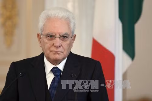 45 năm quan hệ ngoại giao Việt Nam – Italy: Tổng thống Italy gửi điện mừng đến Chủ tịch nước Trần Đại Quang ảnh 1