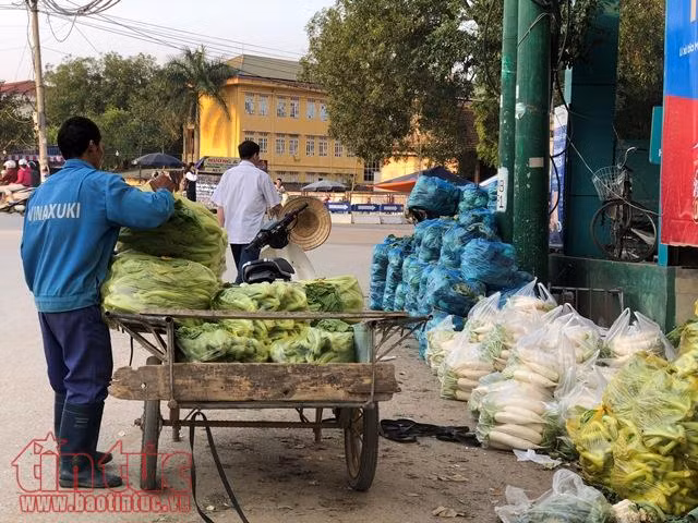 Cảnh báo sớm cung cầu thị trường rau, củ ảnh 2