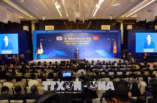 Quan hệ hợp tác Việt Nam - Hàn Quốc phụ thuộc sự năng động, sáng tạo của đội ngũ doanh nhân ảnh 4