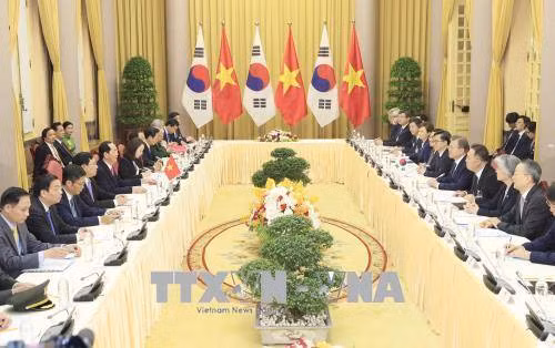 Chủ tịch nước Trần Đại Quang hội đàm với Tổng thống Hàn Quốc Moon Jae-in ảnh 2