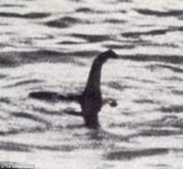 Xác sinh vật giống quái vật hồ Loch Ness dạt vào bờ ảnh 2
