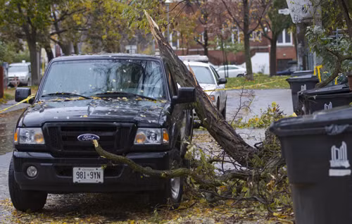 Mỹ và Canada khắc phục hậu quả bão Sandy ảnh 3