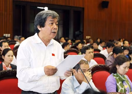 Quốc hội thảo luận tình hình năm 2012, bàn giải pháp KT-XH năm 2013 ảnh 3