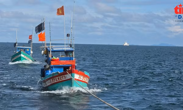 Cảnh sát biển xử lý tàu cá vi phạm pháp luật, chống khai thác IUU