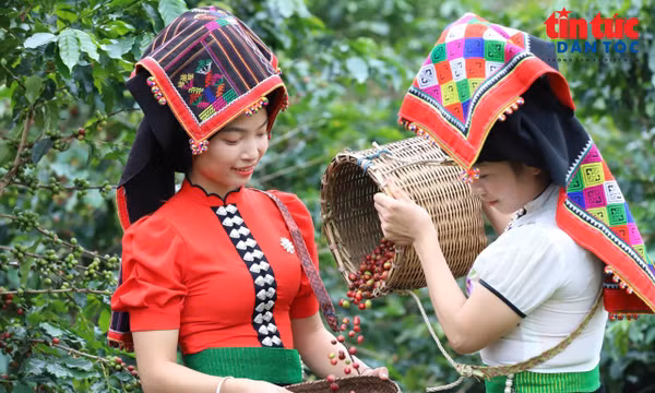 Hợp nhất 3 Chương trình mục tiêu quốc gia: Bước chuyển rõ trong tư duy xây dựng pháp luật