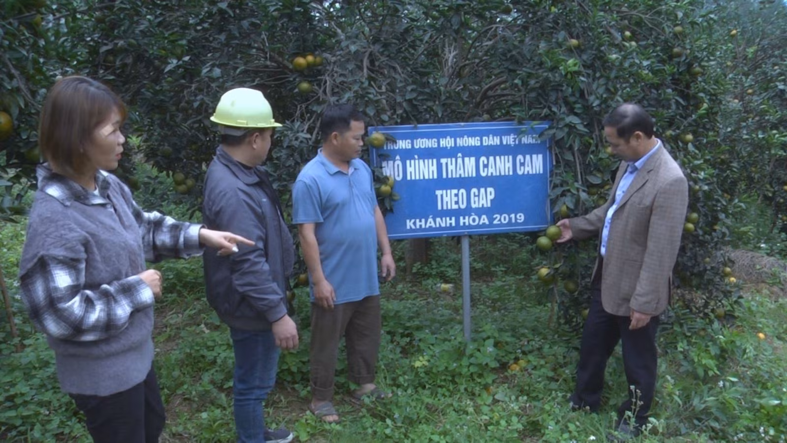 Chú thích ảnh
