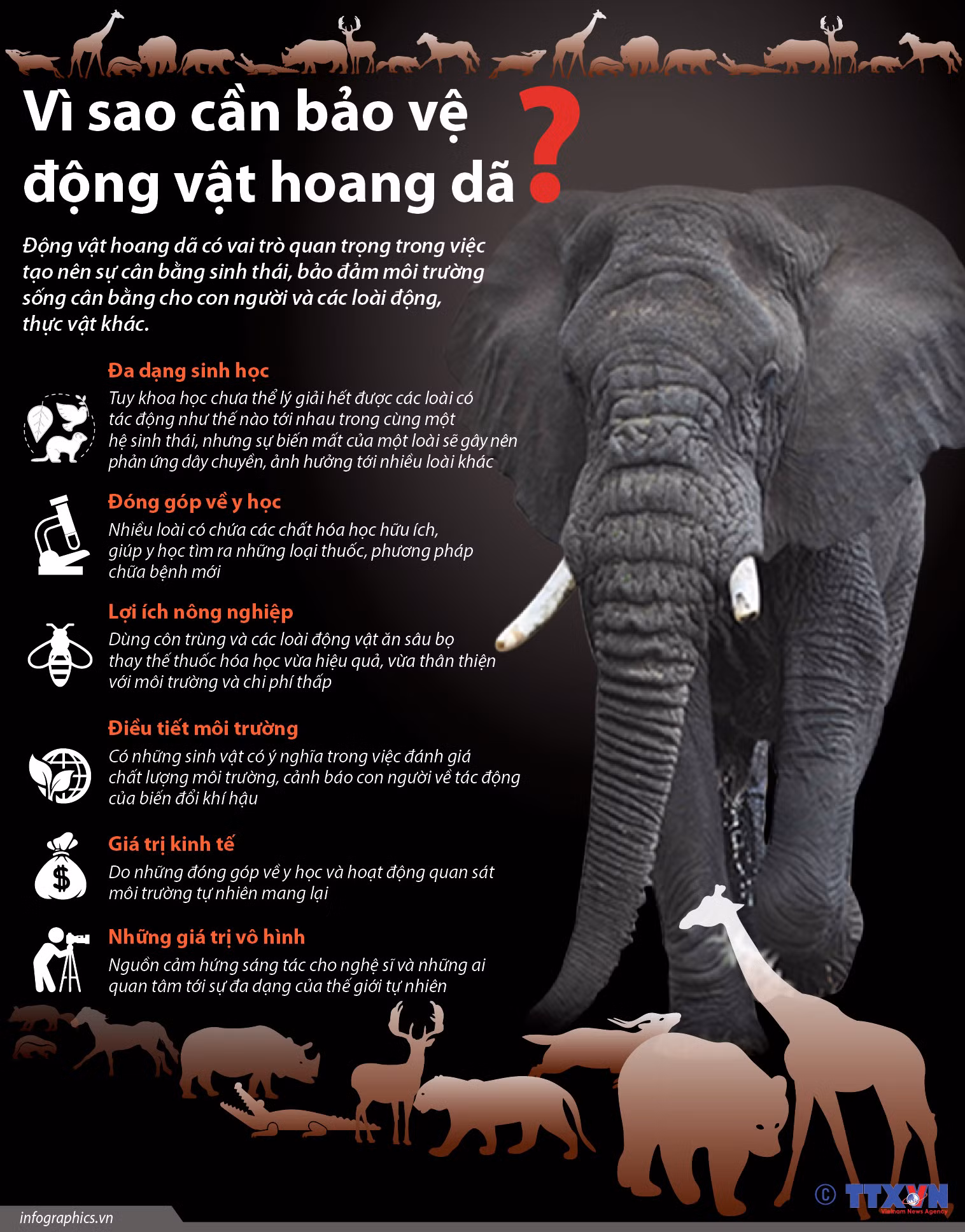 Động vật hoang dã bên bờ vực tuyệt chủng ảnh 11