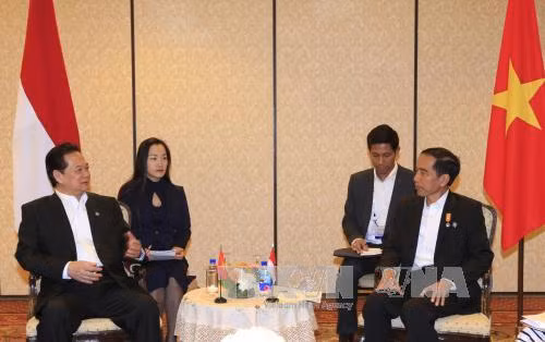 Thủ tướng Nguyễn Tấn Dũng gặp Tổng thống Indonesia ảnh 1
