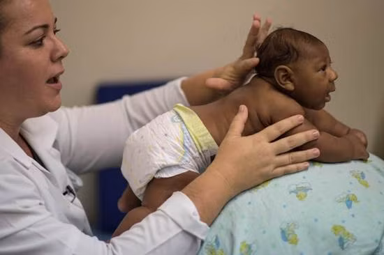 Brazil phát động chiến dịch diệt trừ muỗi làm lây lan virus Zika ảnh 1