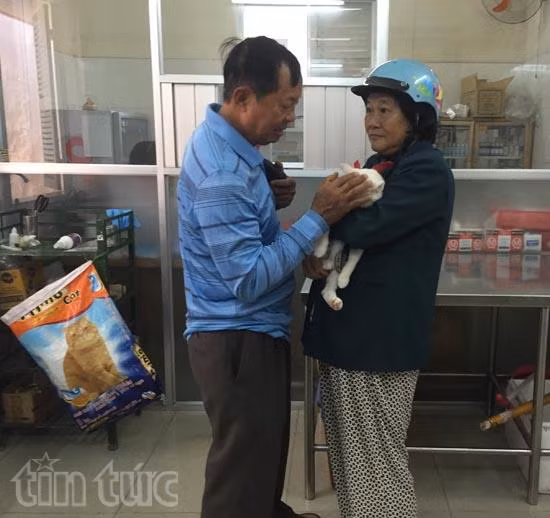 Đầu năm bệnh viện chó mèo quá tải ảnh 6