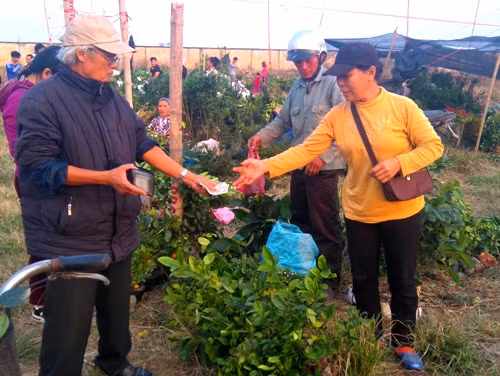 Du xuân chợ Viềng mua may ảnh 2