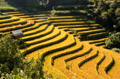 Đầu xuân lên Hà Giang ngắm cảnh ảnh 3