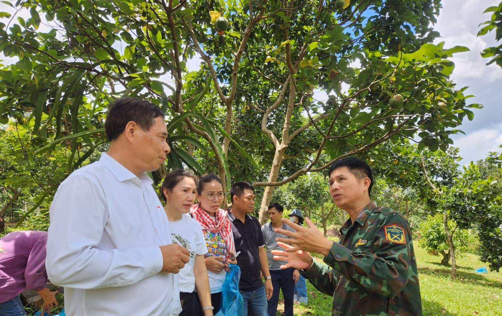 Chú thích ảnh