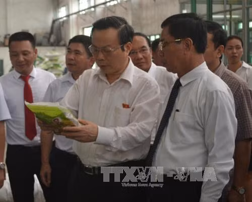 Phó Chủ tịch Quốc hội Phùng Quốc Hiển làm việc tại tỉnh Thái Bình ảnh 2