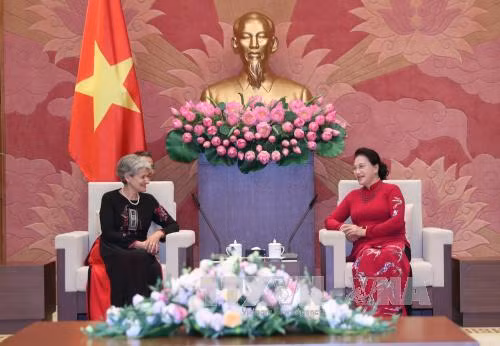 Chủ tịch Quốc hội tiếp Tổng Giám đốc UNESCO ảnh 1