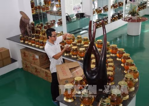 Giảm gánh nặng chi phí, thúc đẩy doanh nghiệp tư nhân phát triển ảnh 1
