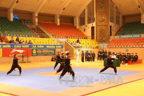 Bảo tồn và phát triển môn thể thao võ cổ truyền ảnh 1