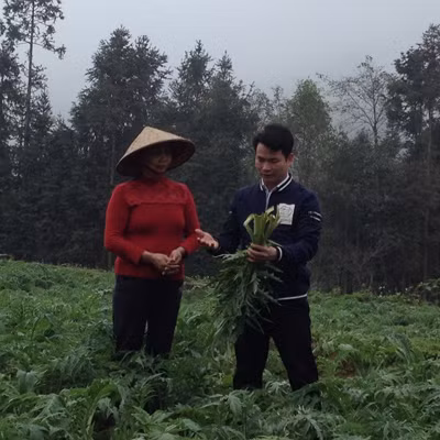 Dự án 600 Phó Chủ tịch xã: Những hạt giống đỏ trên vùng đất khó - Bài 3: Người đem đến giấc mơ có thật cho bà Nụ ảnh 2
