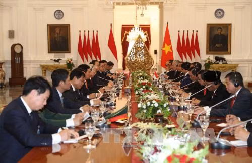 Tổng Bí thư Nguyễn Phú Trọng hội đàm với Tổng thống Indonesia Joko Widodo ảnh 1