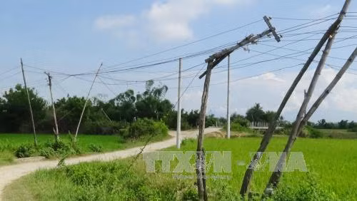 Nguy hiểm từ đường dây điện tự kéo tại khu dân cư ở Ninh Thuận ảnh 1