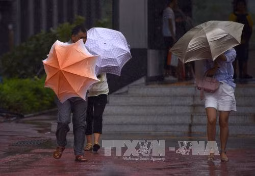 Bão Pakhar tràn vào miền Nam Trung Quốc ảnh 1