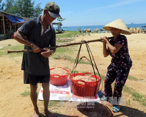 Ngư dân Hà Tĩnh trúng đậm ruốc biển ảnh 1