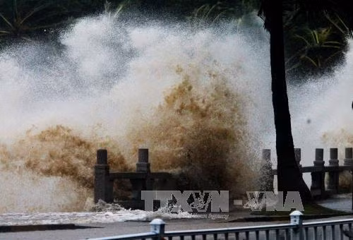 Trung Quốc ban bố cảnh báo vàng do bão Pakhar - Bão Hato gây thiệt hại nặng nề ảnh 1