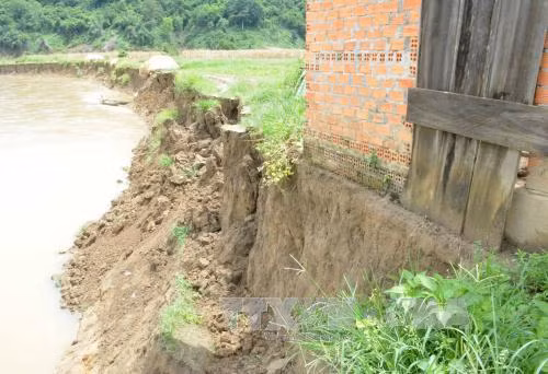 Sạt lở bờ sông Krông Nô đe dọa 'nuốt chửng' nhà dân ảnh 1