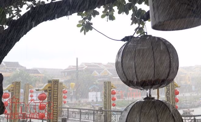 Lang thang phố cổ Hội An ảnh 11