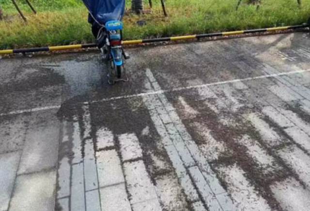 'Rụng rời tay chân' trước cảnh hàng nghìn con cuốn chiếu đổ vào nhà ga ảnh 2