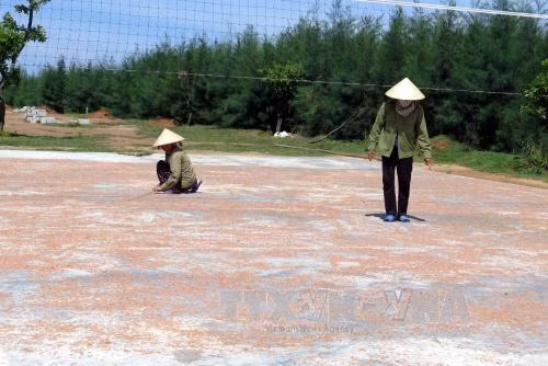 Ngư dân Hà Tĩnh trúng đậm ruốc biển ảnh 2