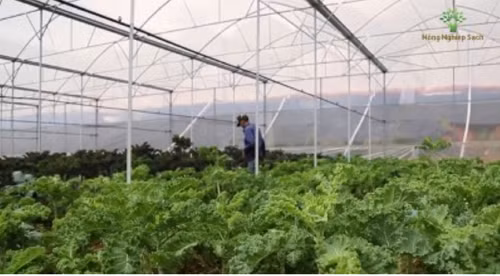 Agribank -Tài chính cho phát triển nông nghiệp, nông thôn ảnh 1