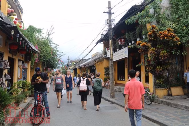Lang thang phố cổ Hội An ảnh 2
