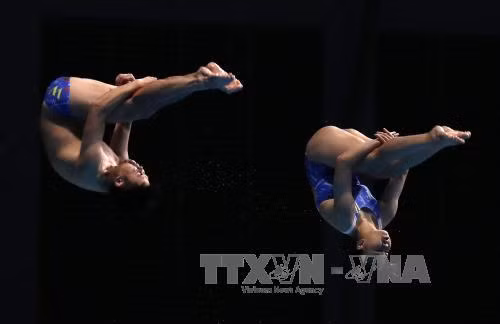 SEA Games 29: Bất ngờ với thành tích của nhảy cầu Việt Nam ảnh 1