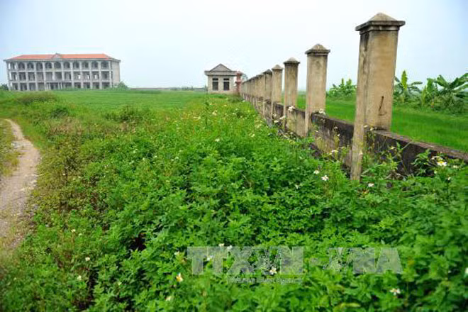 Xây 7 năm không xong, ngôi trường tiền tỷ 'đắp chiếu' giữa đồng ảnh 7