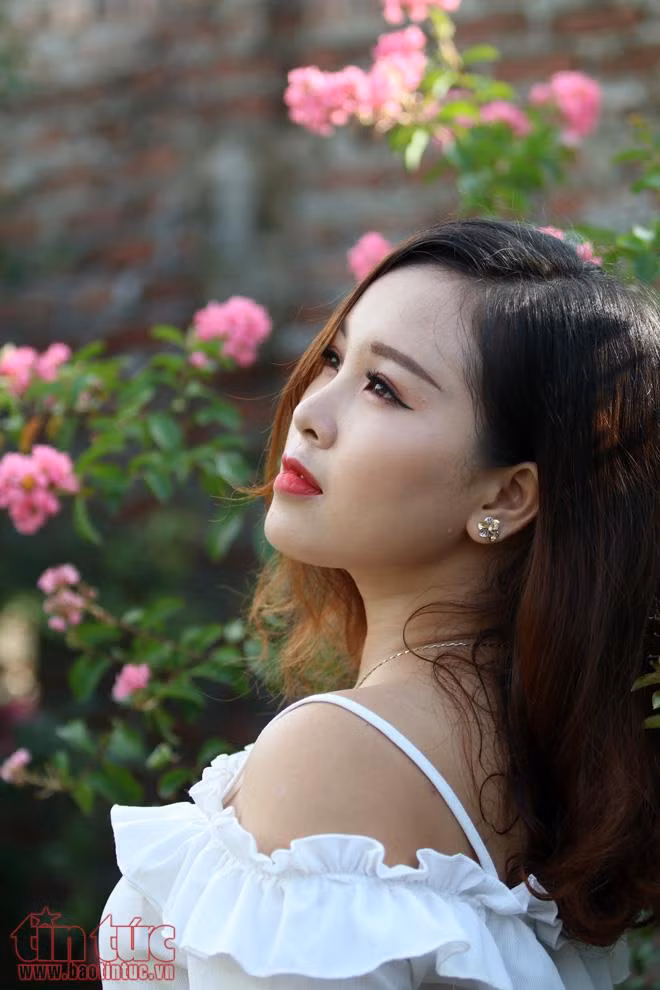 Tường vi hút hồn người yêu hoa ảnh 9