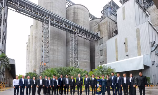 C.P. Việt Nam nâng cao năng lực xuất khẩu, phát triển bền vững, hợp tác vì cộng đồng
