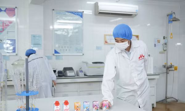 ZinZin đánh dấu 20 năm đồng hành cùng nhiều thế hệ gia đình Việt Nam