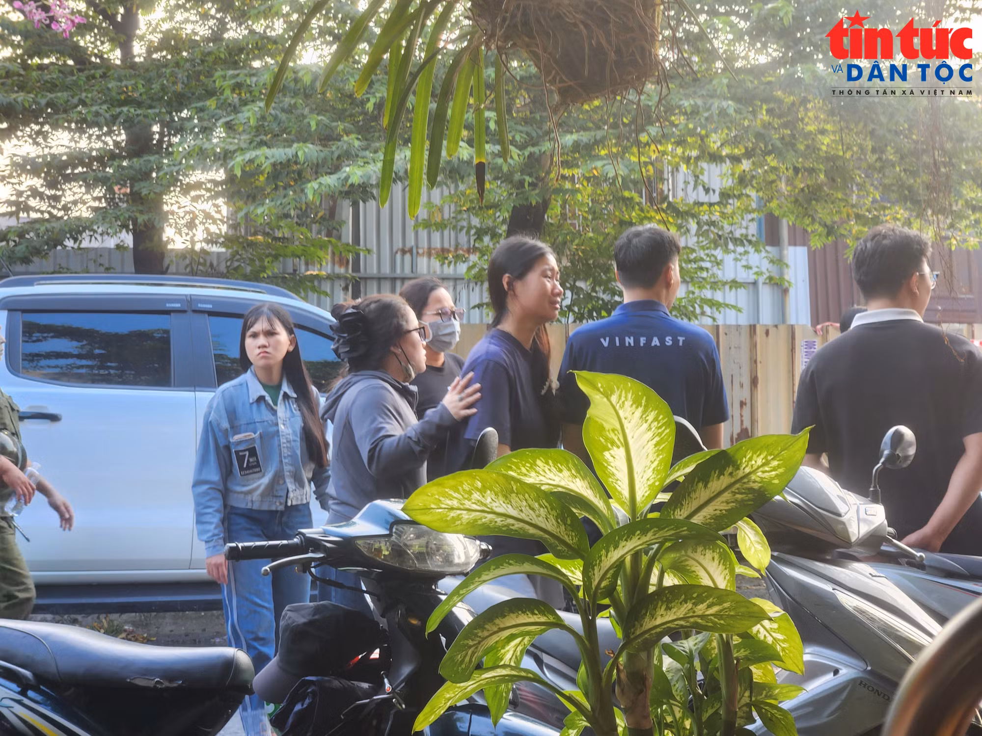 baotintuc_tr_1000153289.jpg