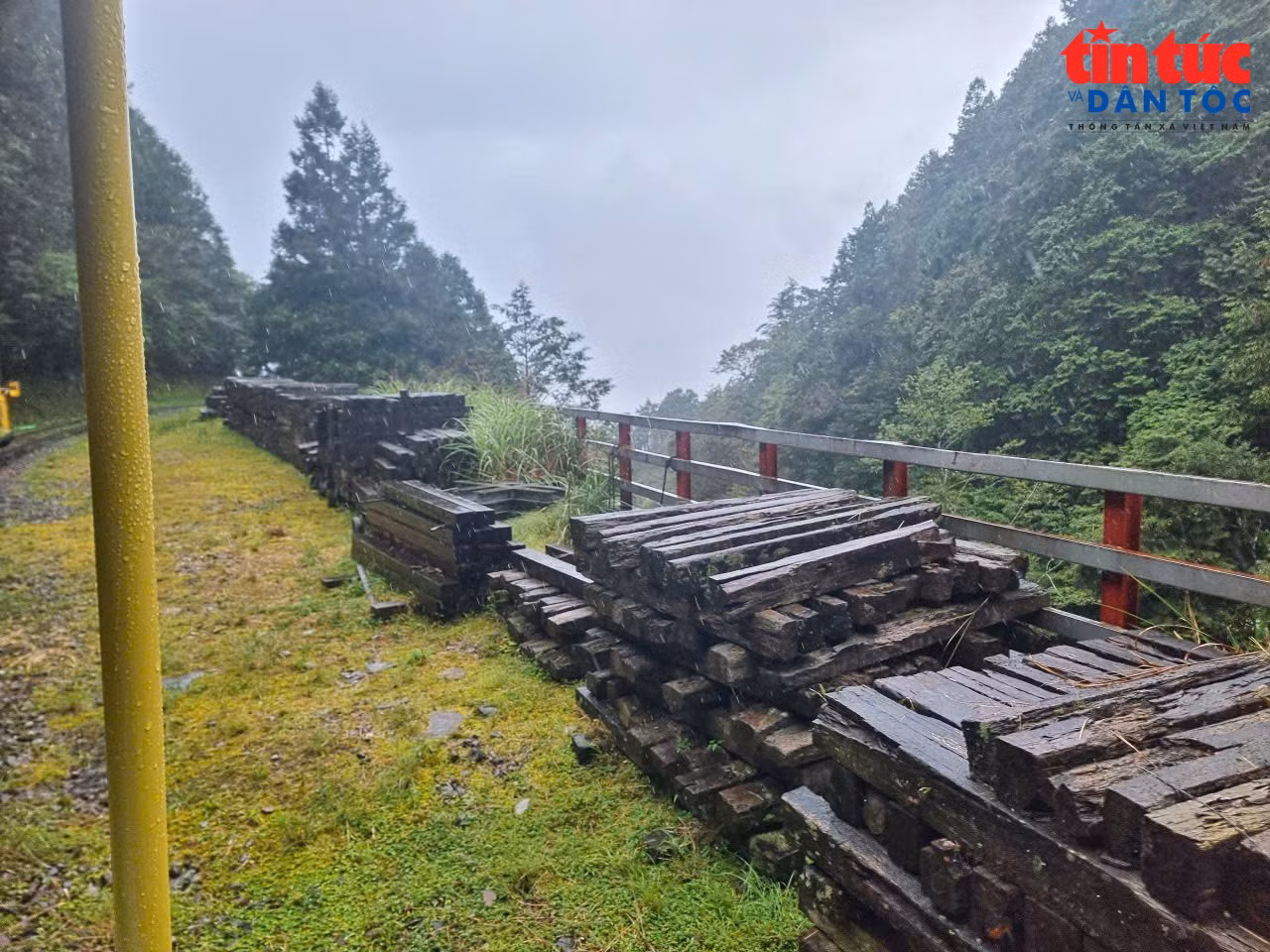 baotintuc_tr_doantautrennui220926-3.jpg