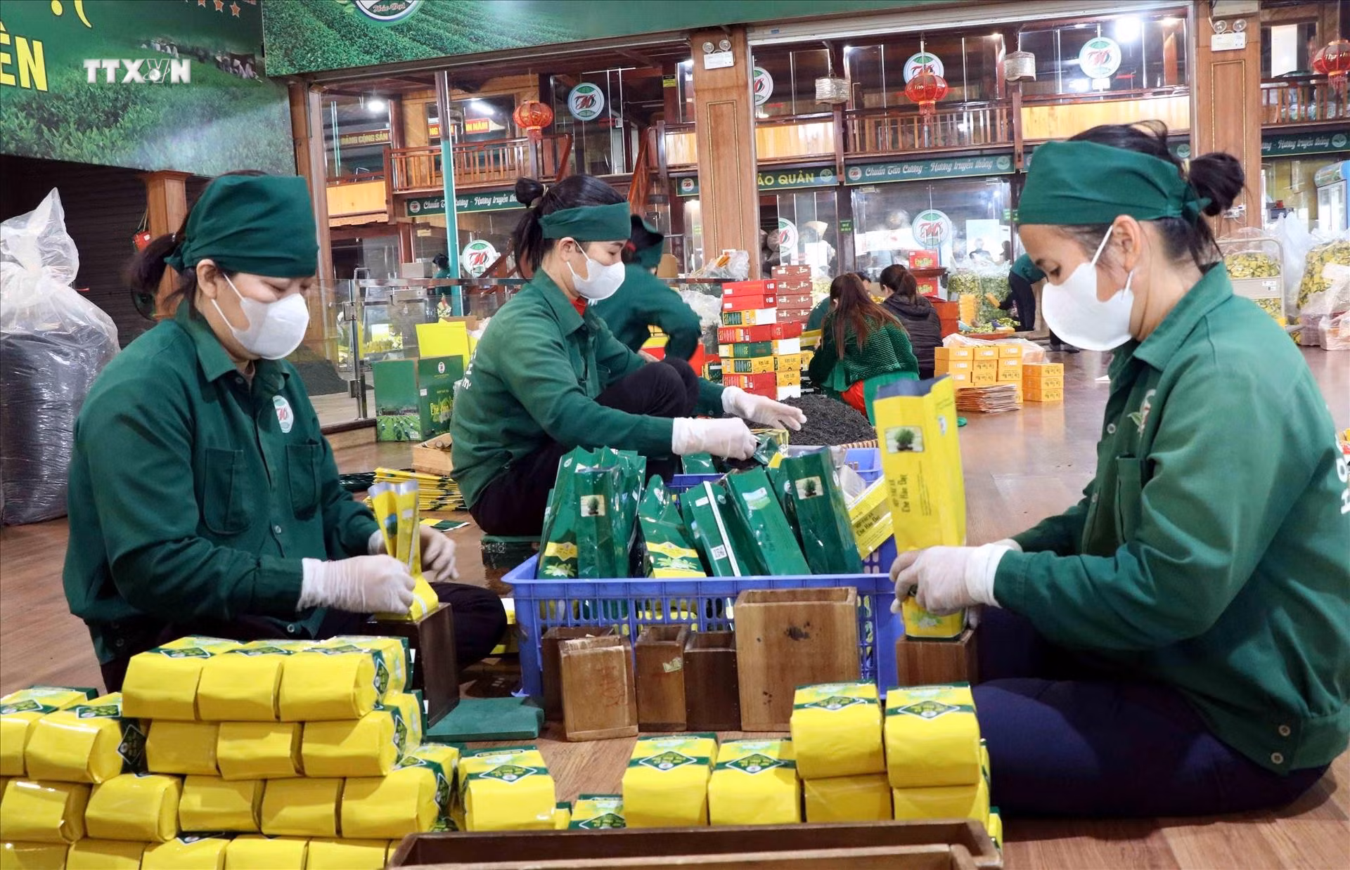 Chè Thái Nguyên hiện có 193 sản phẩm đạt OCOP từ 3 - 5 sao. Ảnh: Trần Trang/TTXVN