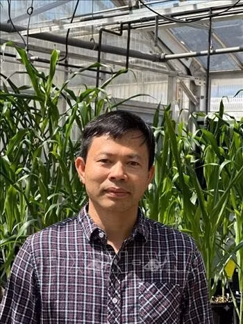 Tiến sĩ Quách Truyền, nhà sáng lập và quản lý tại PlantEdits, chịu trách nhiệm điều hành dịch vụ chuyển gen và chỉnh sửa gen cây trồng. Ảnh: TTXVN phát