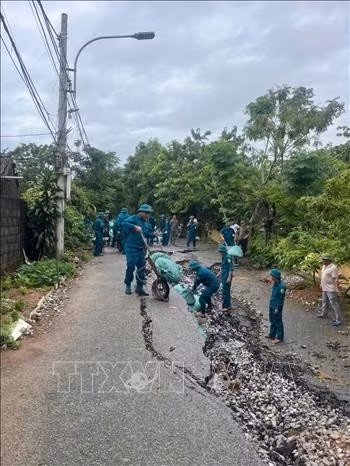 Chính quyền địa phương và các lực lượng chức năng tiến hành vận chuyển và xếp bao tải cát để hạn chế sạt lở tiếp tục lan rộng, ảnh hưởng đến công trình và an toàn của người dân tại khu vực xung yếu. Ảnh: TTXVN phát