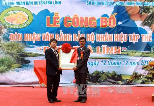 Sở hữu trí tuệ: Hướng tới vị trí thứ 2 ASEAN ảnh 1