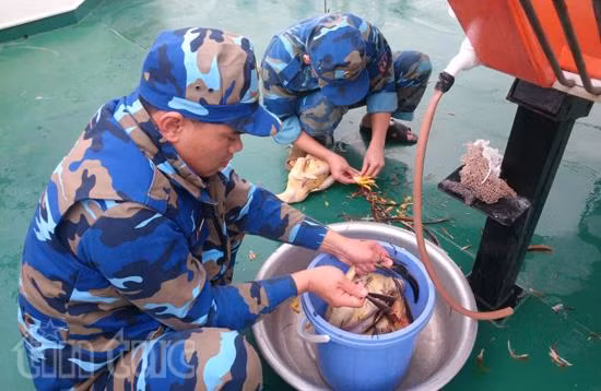 Cận Tết cảnh sát biển vẫn sẵn sàng trực chiến ảnh 7