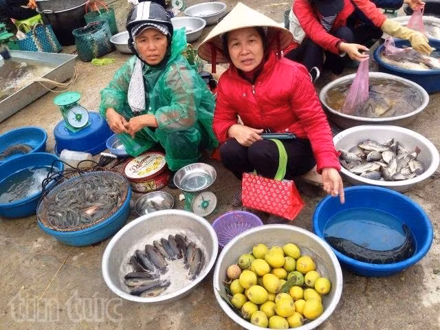 Rau quả 'cây nhà lá vườn' tại chợ Tết quê ảnh 9
