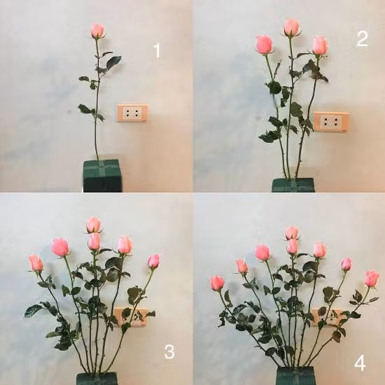 Cùng cắm hoa hồng đẹp đón Xuân Đinh Dậu ảnh 1