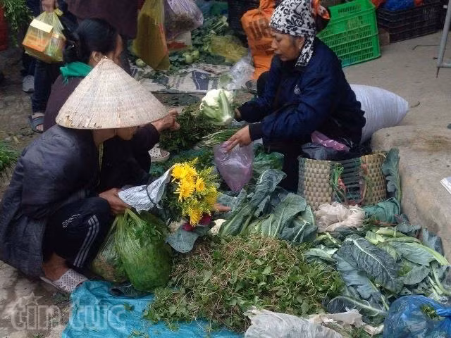 Rau quả 'cây nhà lá vườn' tại chợ Tết quê ảnh 6